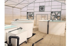 AQUAPONIC SYSTEM