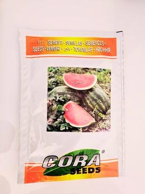 WATER MELON - CORA SEEDS