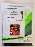 ISABELLA F1 - HYBRID TOMATO