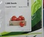 SV4129TH - HYBRID TOMATO - 1000 SEEDS