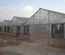 POLLY CARBONATE GREEN HOUSE