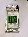 BEANS VICTORIA F1