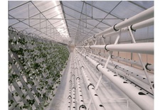 HYDROPONIC SYSTEM