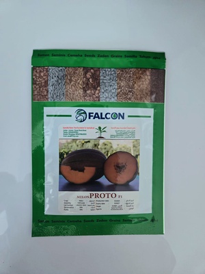 MELON PROTO F1