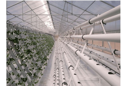 HYDROPONIC SYSTEM