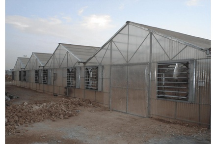 POLLY CARBONATE GREEN HOUSE