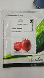 BRIVIO - HYPRID TOMATO 5000 SEEDS