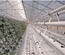 HYDROPONIC SYSTEM