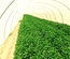 Nurseries installations