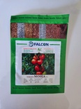 TOMATO MOJA F1