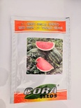 WATER MELON - CORA SEEDS