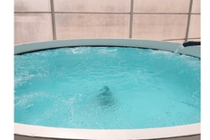 AQUAPONIC