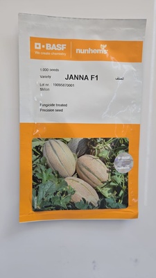 JANNA F1 MELON