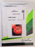 SHOUROUQ - HYBRID TOMATO