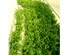 Nurseries installations