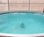 AQUAPONIC