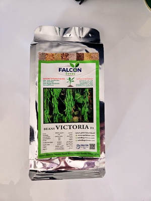 BEANS VICTORIA F1