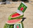 ROMINA F1 - WATER MELON
