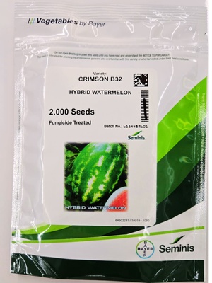 SEMENIS- WATERMELON -CRIMSON B32