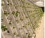 HYDROPONIC