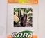 CORA EGGPLANT