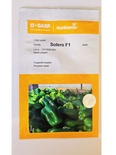 SOLERO F1 SWEET PEPPER
