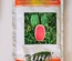 ROMINA F1 - WATER MELON