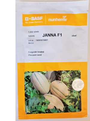 JANNA F1 MELON