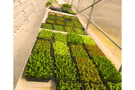 Nurseries installations