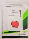 BEDERO - HYBRID TOMATO