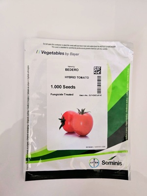 BEDERO - HYBRID TOMATO