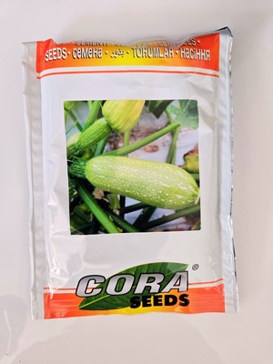 SQUASH CORA