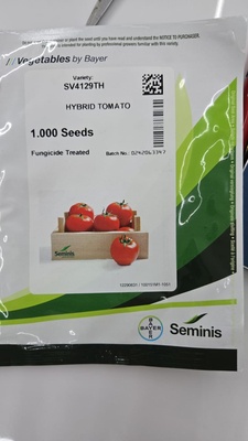 SV4129TH - HYBRID TOMATO - 1000 SEEDS