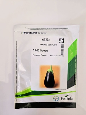 ARLENE - HYBRID EGGPLANT