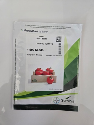 SV4129TH - HYBRID TOMATO - 1000 SEEDS