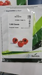 SV3725TH - HYPRID TOMATO - 1000 SEEDS