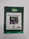 EGGPLANT BLACK DIAMOND F1 - 1000 SEEDS
