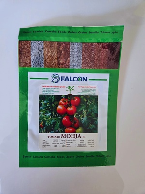 TOMATO MOJA F1
