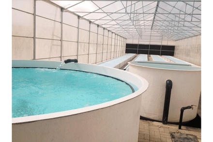 AQUAPONIC