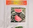 WATER MELON - CORA SEEDS