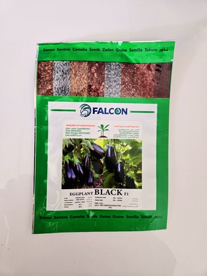EGGPLANT BLACK F1