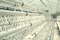 HYDROPONIC