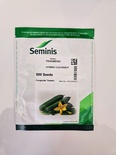 FENOMENO - HYBRID CUCUMBER
