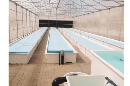 AQUAPONIC SYSTEM